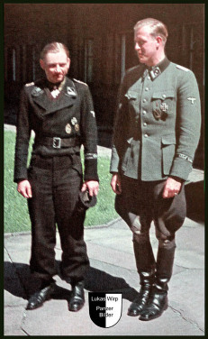 Leibstandarte Adolf Hitler, Verleihung Ritterkreuz